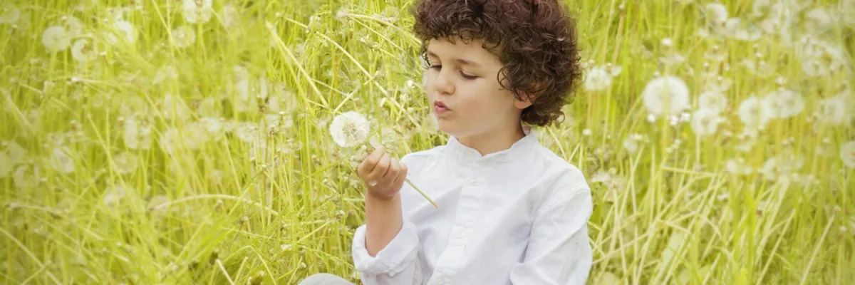 Antistaminici naturali e da banco: guida completa alle allergie stagionali