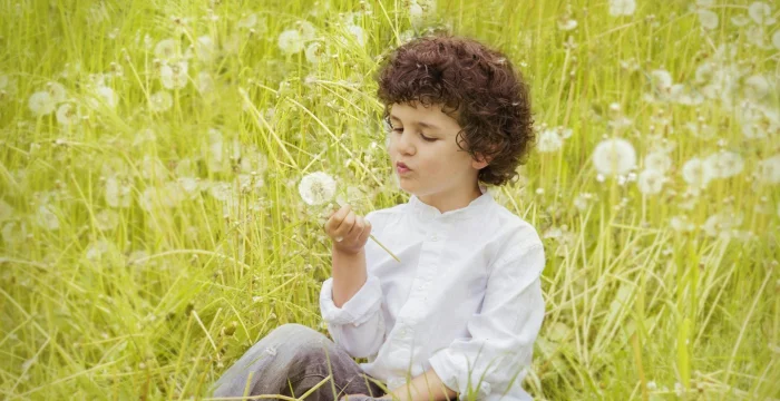 Antistaminici e allergie stagionali